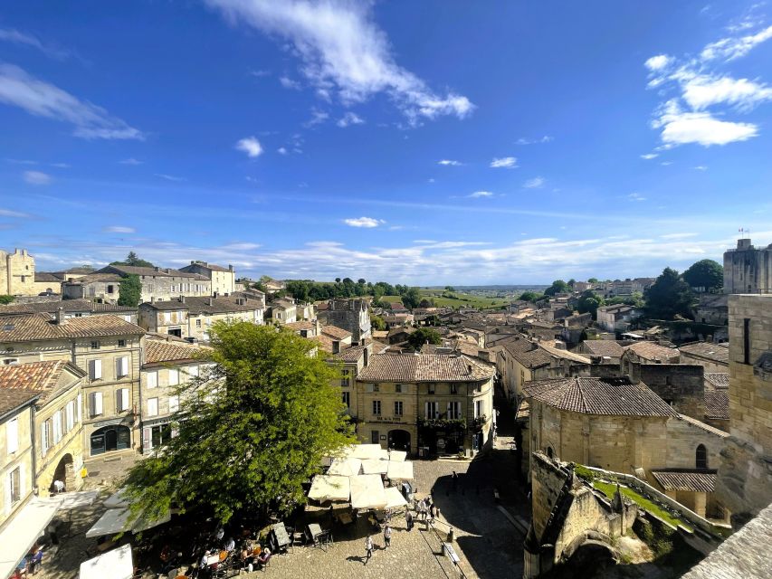 From Bordeaux: Afternoon Saint-Emilion Wine Tasting & snack - Inside a Grand Cru Classé château