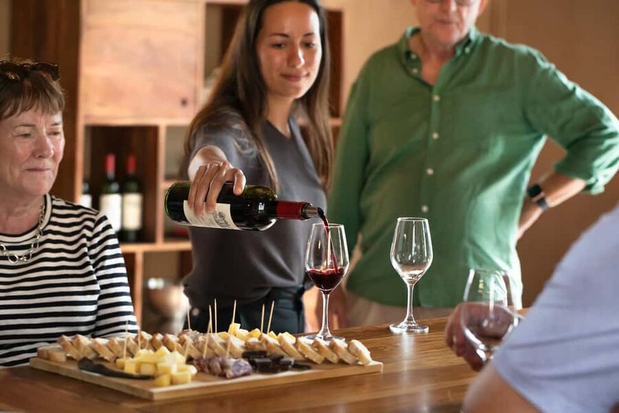 From Bordeaux: Afternoon Saint-Emilion Wine Tasting & snack - Cheese, cured meat, bread, and dark chocolate