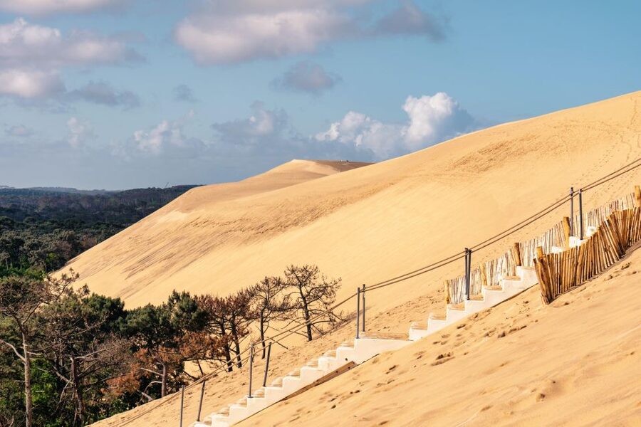 From Bordeaux: Arcachon Bay Full Day Tour and Oyster Lunch - Key points at a glance