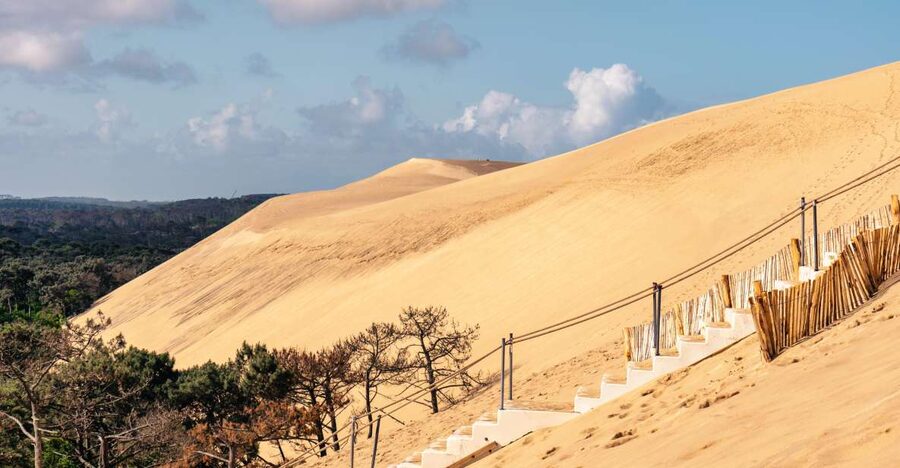 From Bordeaux: Arcachon Bay Full Day Tour and Oyster Lunch - Climbing the Dune of Pilat at Pyla-sur-Mer