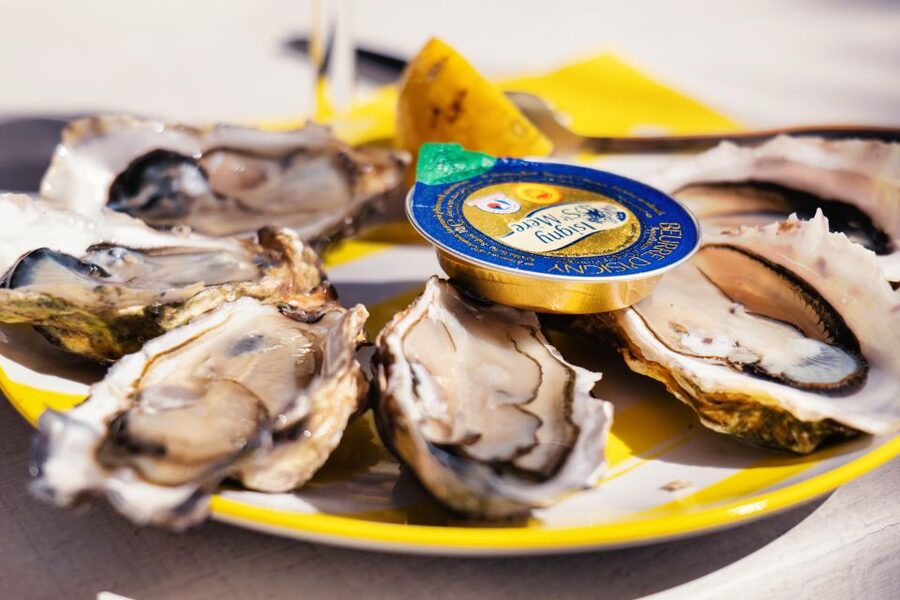 From Bordeaux: Arcachon Bay Full Day Tour and Oyster Lunch - The small-group format and guide quality