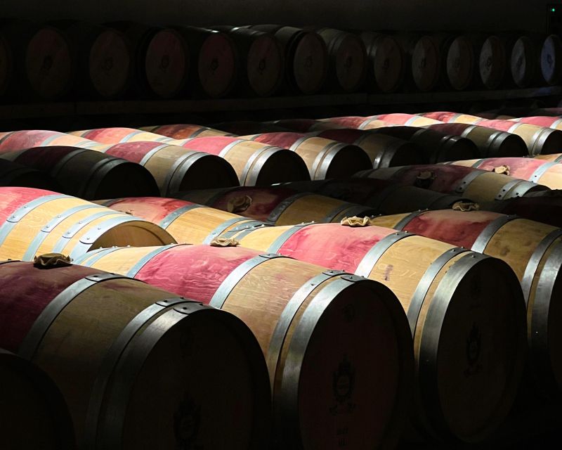 From Bordeaux: Essential Morning Tour with Wine Tasting - Booking value and practical flexibility
