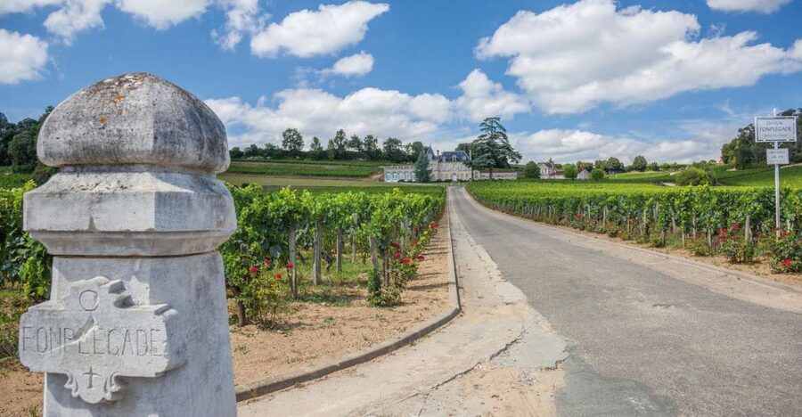 From Bordeaux: Full-Day St Emilion Wine Tasting Tour - Key points at a glance