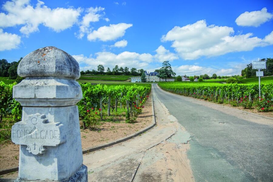 From Bordeaux: Full-Day St Emilion Wine Tasting Tour - First château: start with the wine-making basics