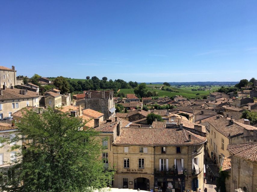 From Bordeaux: Saint-Emilion Guided Wine Tasting Tour - How the wine instruction helps beginners