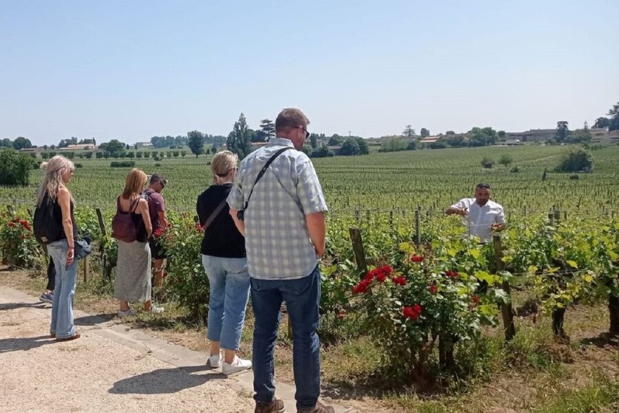 From Bordeaux: Saint-Emilion Guided Wine Tasting Tour - Is $129 good value for five and a half hours?