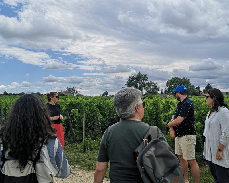 From Bordeaux: Saint-Émilion Half-Day Tour with Wine Tasting - Inside the family-run organic winery