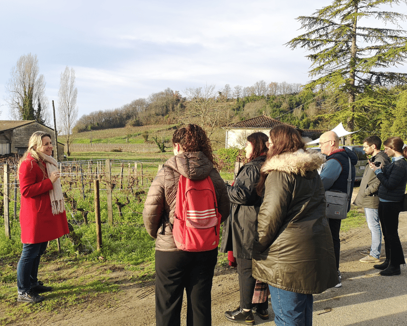 From Bordeaux: Saint-Émilion Half-Day Tour with Wine Tasting - Leaving Bordeaux beside the Cité du Vin
