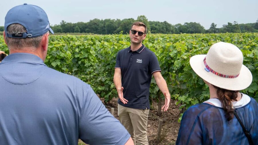 From Bordeaux: St-Emilion Day Tour with Tastings and Lunch - A château picnic with local food