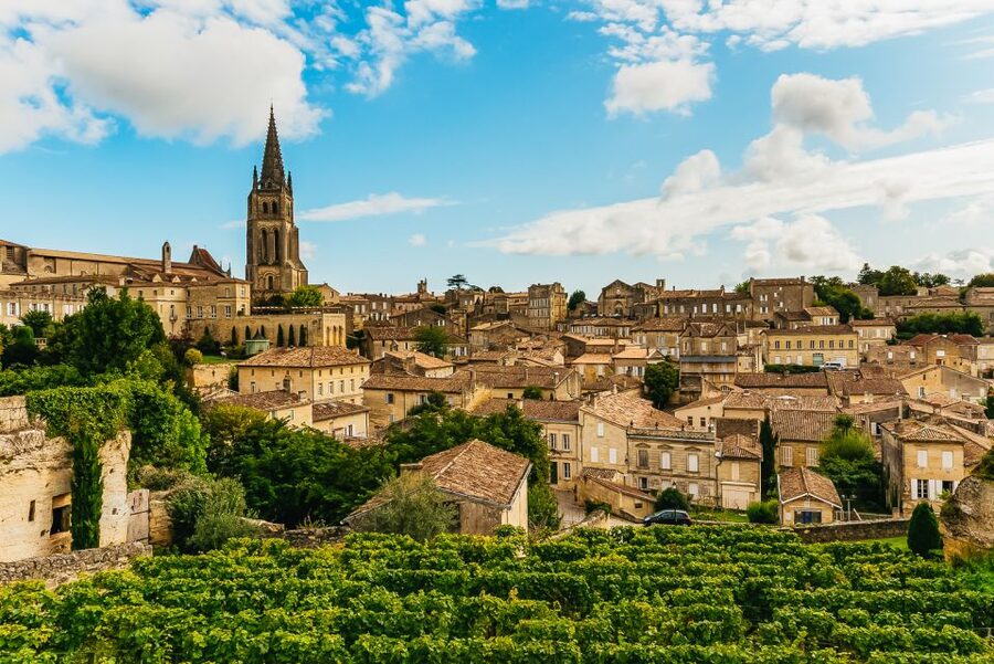 From Bordeaux: St. Emilion Village Half-Day Wine Tour - Key points at a glance