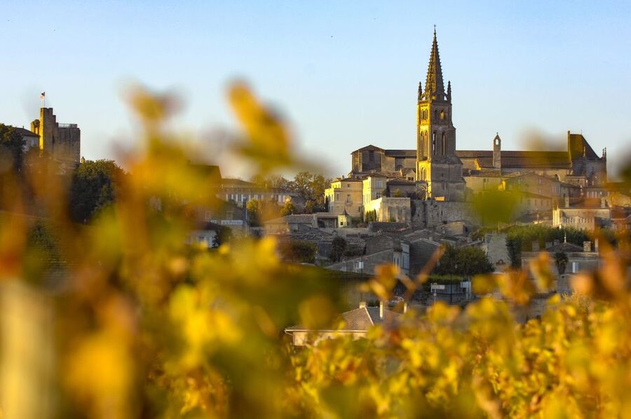 From Bordeaux: St. Emilion Village Half-Day Wine Tour - Why the guide can make or break the experience
