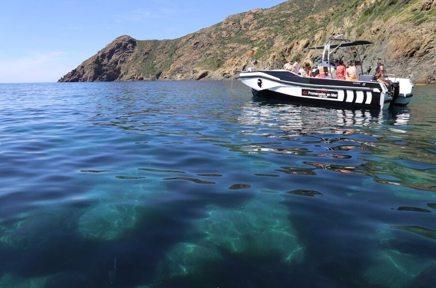 From Calvi: 2-Hour Sunset Cruise to Revellata Peninsula - Swimming at Alga Beach