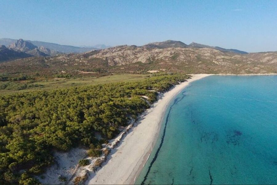 From Calvi: 4x4 Day Tour Mountain & Agriates' Saleccia Beach - Why this 4x4 day works so well from Calvi