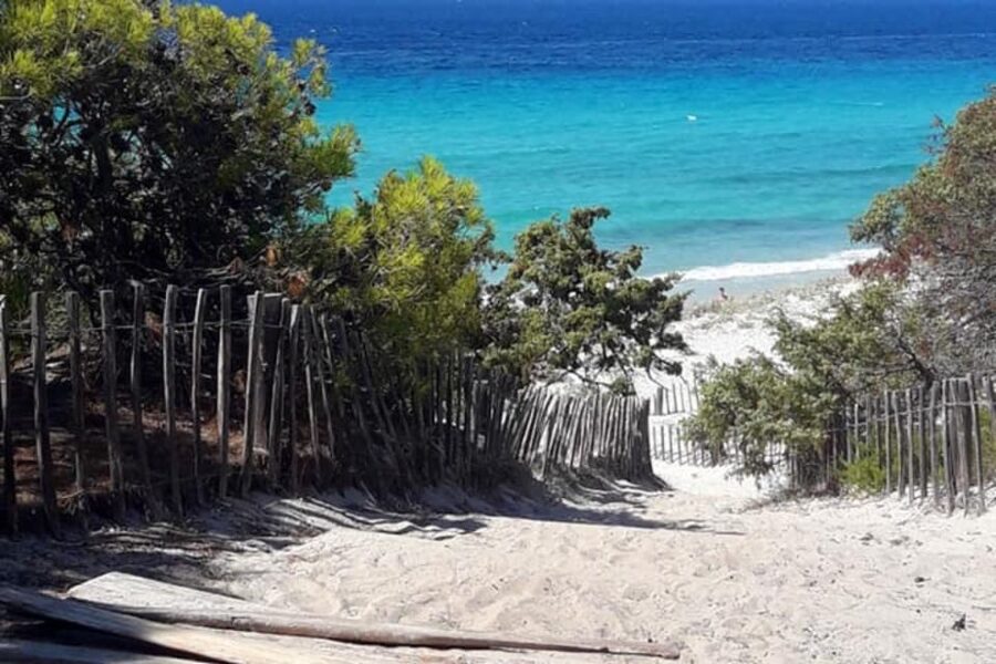 From Calvi: 4x4 Day Tour Mountain & Agriates' Saleccia Beach - The farm stop and the real cost of lunch