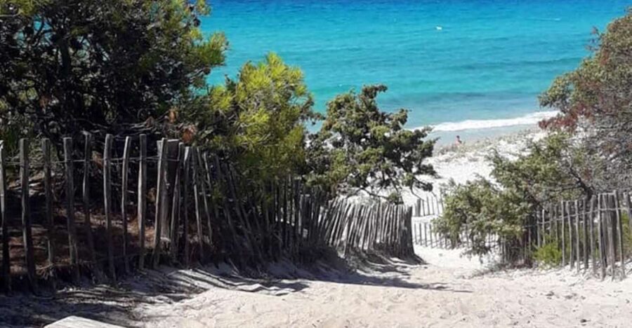 From Calvi: 4x4 Day Tour Mountain & Agriates' Saleccia Beach - Reaching Saleccia Beach in the Agriates desert