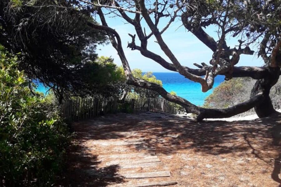From Calvi: 4x4 Day Tour Mountain & Agriates' Saleccia Beach - Is $123 a fair price?
