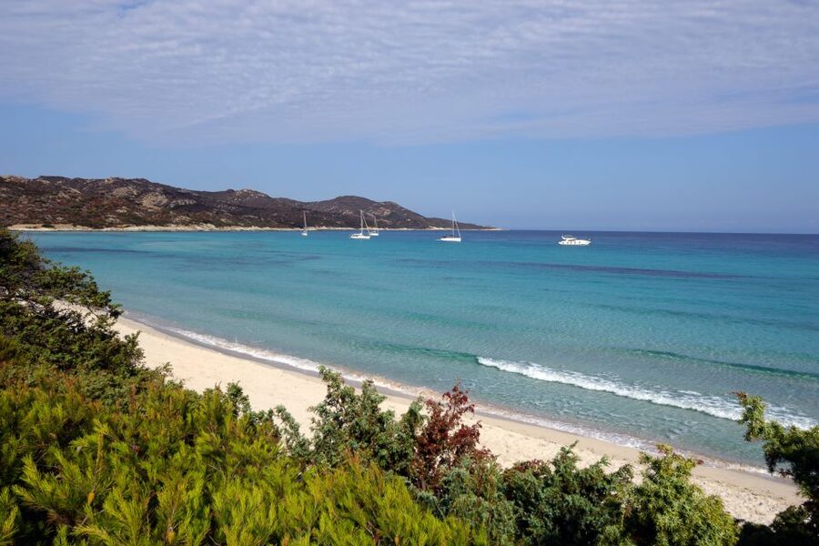 From Calvi: Agriate Guided Jeep Tour to Lotu and Saleccia - Lotu Beach: the first taste of the coast