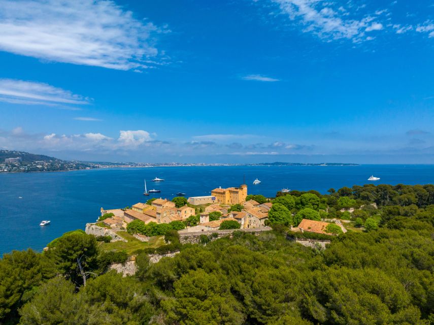 From Cannes: Round-Trip Ferry to Ste. Marguerite Island - Batéguier Pond and the island’s birdlife
