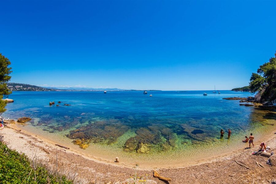 From Cannes: Round-Trip Ferry to Ste. Marguerite Island - Swimming and the underwater eco museum