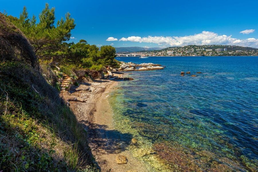 From Cannes: Round-Trip Ferry to Ste. Marguerite Island - Dogs, children, and access