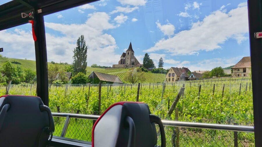 From Colmar: Alsace Medieval and Wine Tasting Day Tour - The winery tasting at the end
