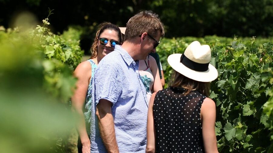 From: Dijon/Beaune: Burgundy Region Winery Tour with Lunch - A family-run winery and eight wines