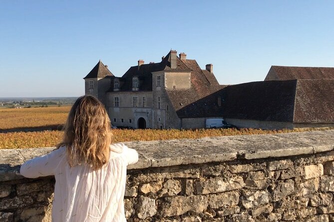 From Dijon: Full day the most of Burgundy with lunch - Why this Burgundy day works best as a wine lesson