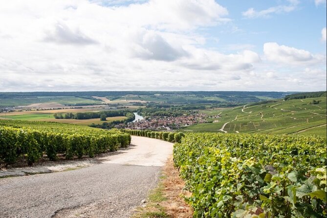 From Epernay: Champagne Small-Group tour with tastings & Lunch - Lunch and the Champagne introduction in Ay-Champagne