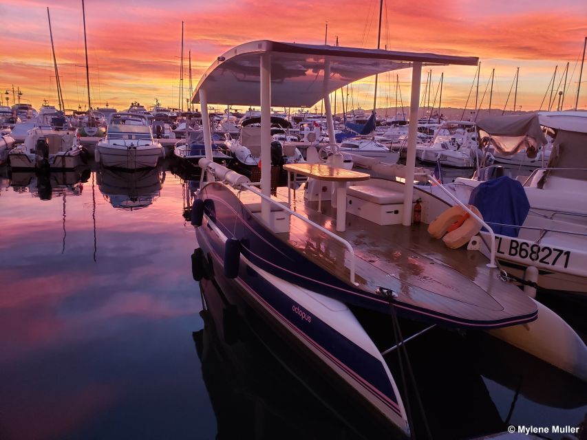 From Juan les Pins: Private French Riviera Solar Boat Cruise - Seeing the villas of Cape d’Antibes from the water