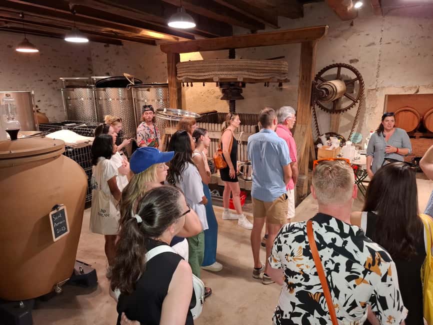 From Lyon: Beaujolais Wine Route Half-Day Tour - First stop: Château de Pizay’s 12-wine tasting