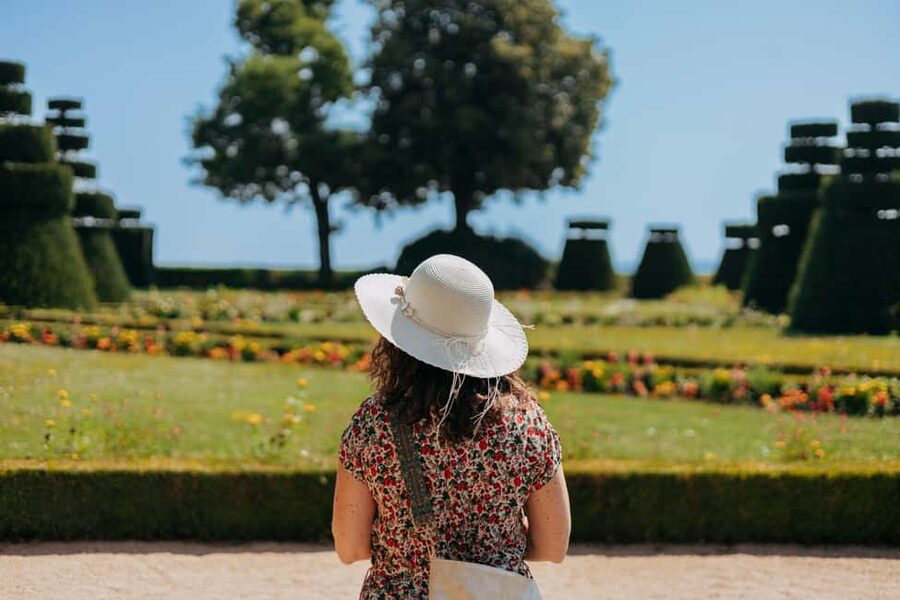 From Lyon: Beaujolais Wine Route Half-Day Tour - How much value do you get for $113?