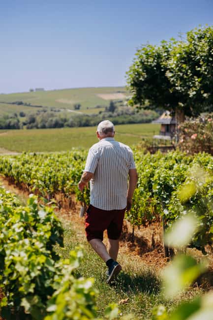 From Lyon: Beaujolais Wine Route Half-Day Tour - Booking and timing tips for a smoother visit