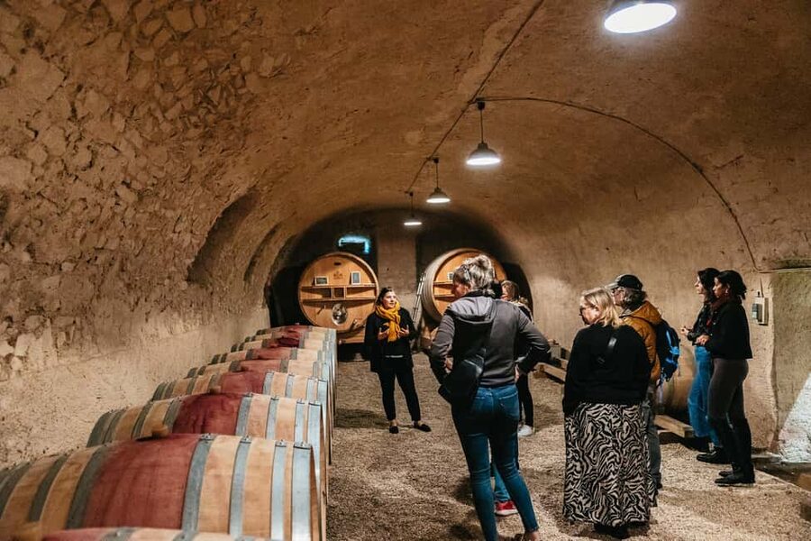 From Lyon: Beaujolais Wine Tour with Tastings - Key points at a glance