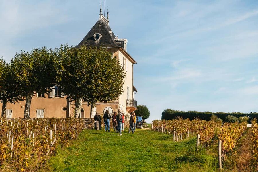 From Lyon: Beaujolais Wine Tour with Tastings - The first winery: family work at close range