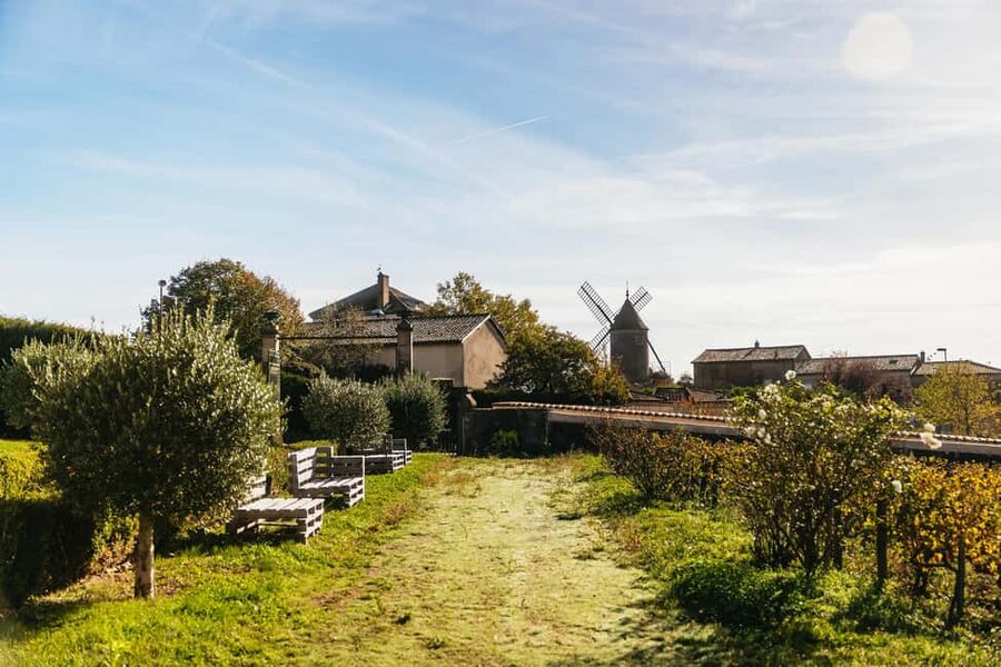 From Lyon: Beaujolais Wine Tour with Tastings - What the tasting is really like