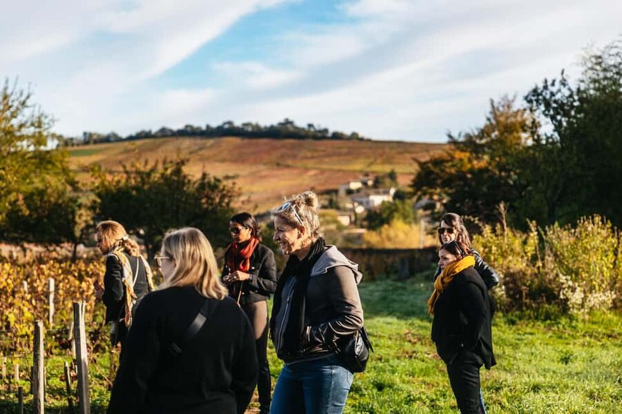 From Lyon: Beaujolais Wine Tour with Tastings - How the $113 price works for you