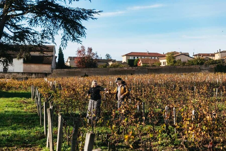 From Lyon: Beaujolais Wine Tour with Tastings - Timing, comfort, and who should book