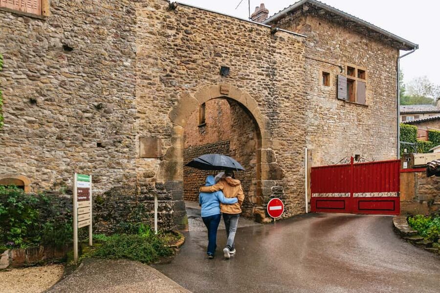 From Lyon: Golden Stones Beaujolais Wine Tasting Tour - The $113 price and what it covers