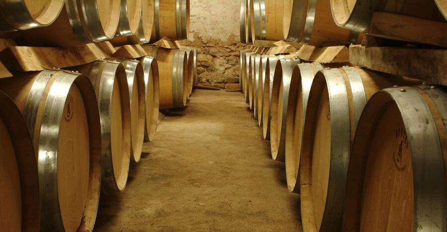From Marseille: Aix en Provence Wine and Cheese Tour - Goat cheese, dirt paths, and a working farm