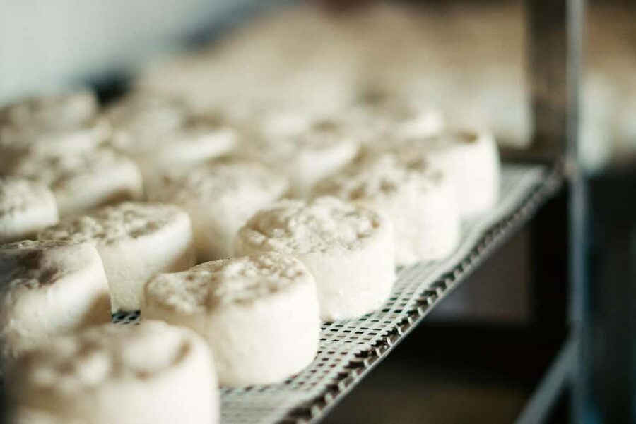 From Marseille: Aix en Provence Wine and Cheese Tour - Useful booking and weather details