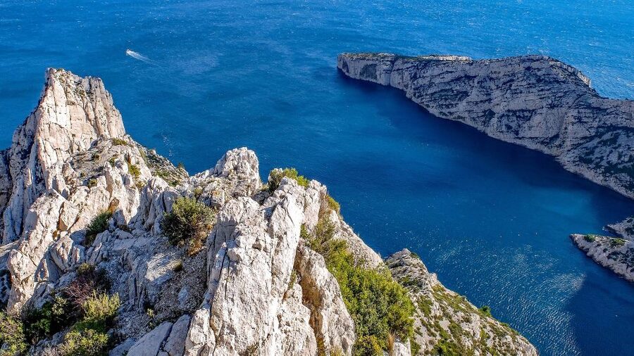 From Marseille: Calanques National Park Guided Hike - Pine woods, rosemary, and limestone views