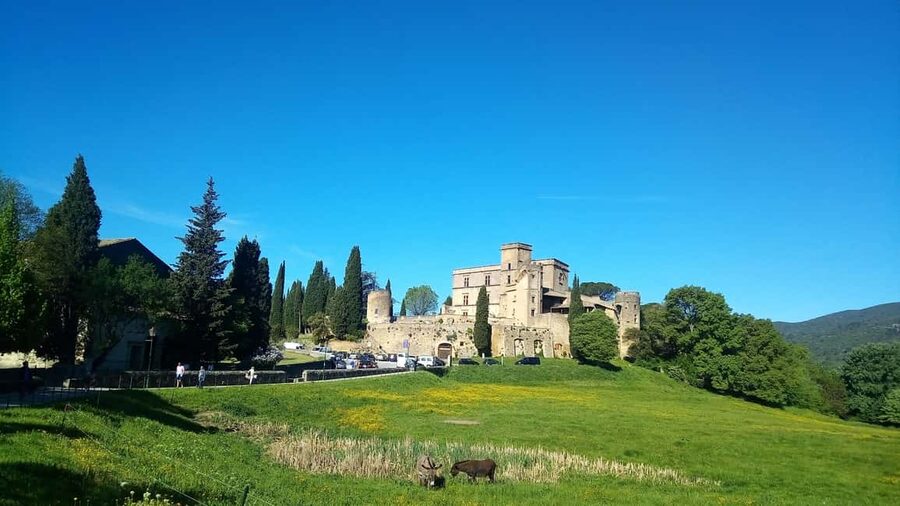 From Marseille Cruise Port: Luberon Villages - Why the small group matters