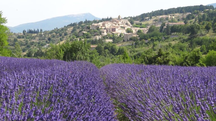 From Marseille: Lavender Full-Day Trip to Sault - The drive from Marseille in an eight-seat minibus