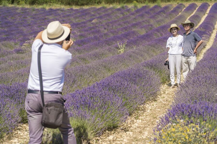 From Marseille: Valensole Lavenders Tour from Cruise Port - Learning lavender from a local producer