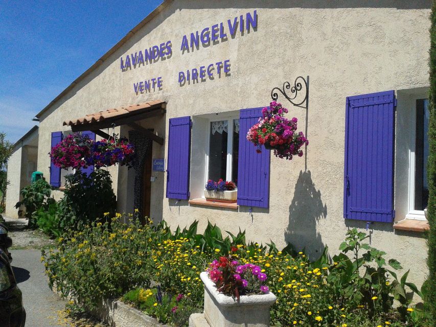 From Marseille: Valensole Lavenders Tour from Cruise Port - Lunch and free time in Valensole