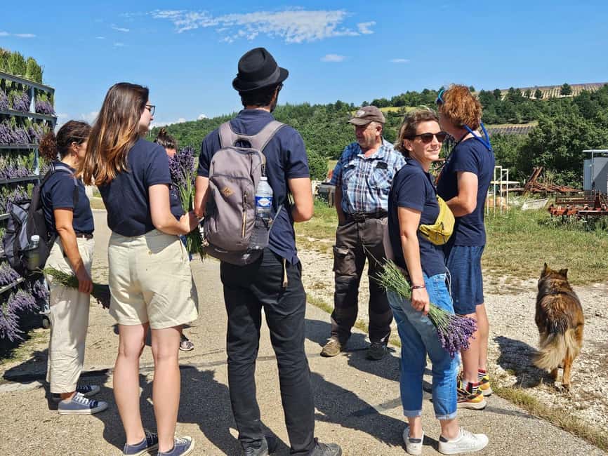 From Marseille: Valensole Lavenders Tour from Cruise Port - The second lavender stop and the ride home