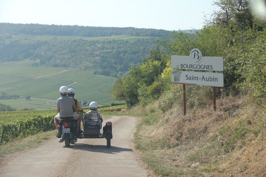 From Meursault: Private Sidecar Tour & Vineyard Wine Tasting - Key details before you book