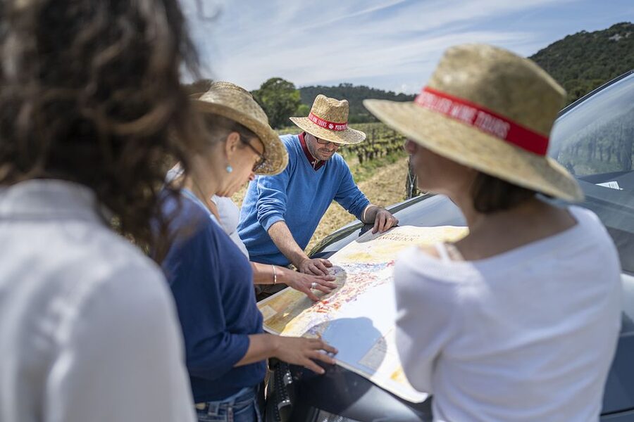 From Montpellier: Half-Day Vineyard & Pic Saint-Loup Tour - Practical details that make the day easier
