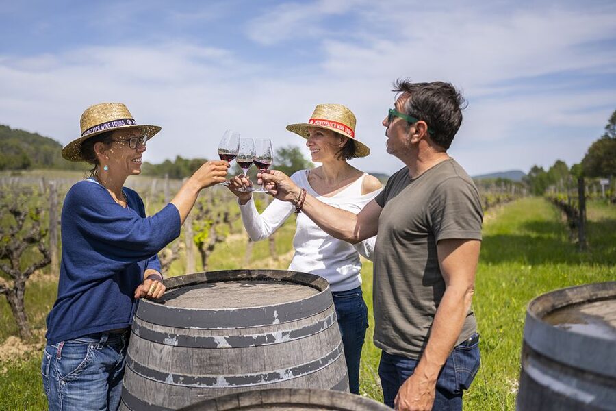 From Montpellier: Half-Day Vineyard & Pic Saint-Loup Tour - The first estate: learning how a winery works