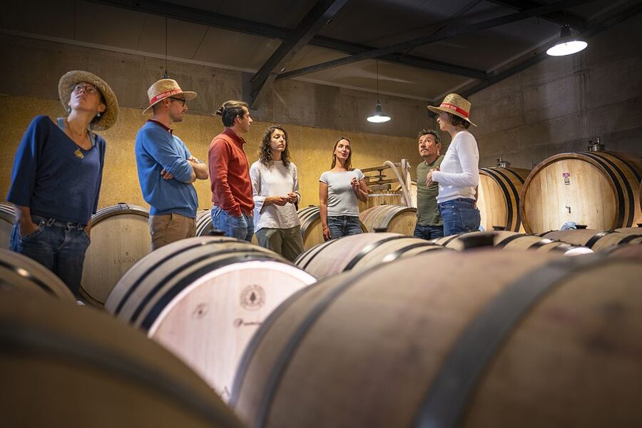 From Montpellier: Half-Day Vineyard & Pic Saint-Loup Tour - The second estate brings useful contrast